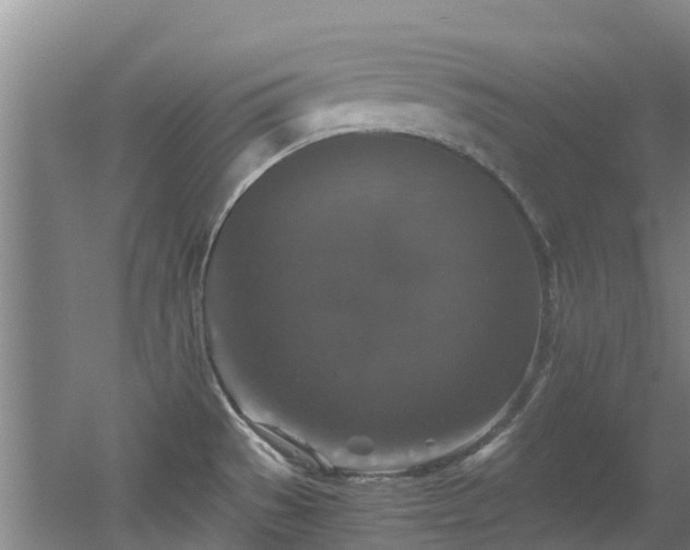 X0000056001529200508221309