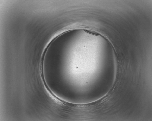 X0000056001531200508221309