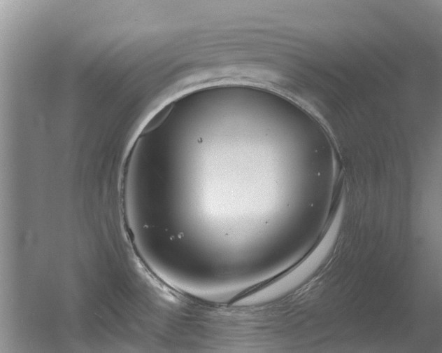 X0000056001532200508221309