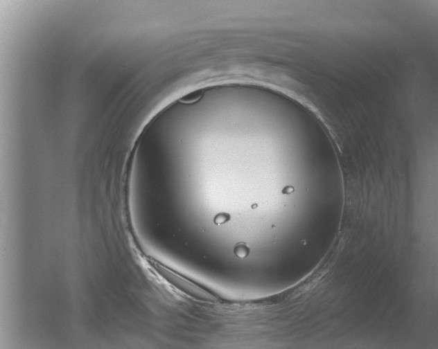 X0000056001534200508221309