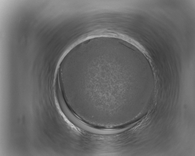 X0000056001536200508221309