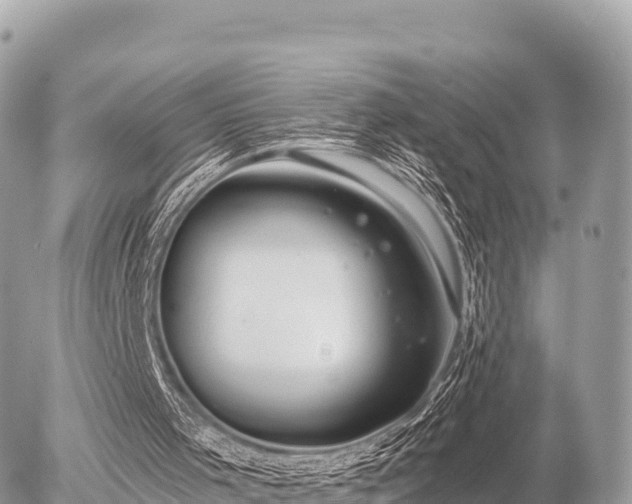 X0000056000001200508261801