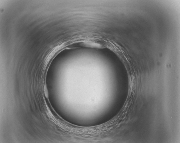 X0000056000003200508261801