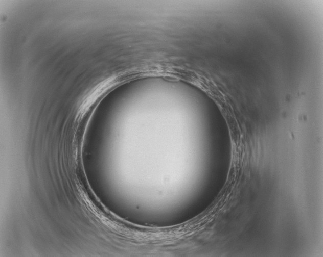 X0000056000005200508261801