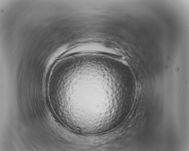 X0000056000006200508261801