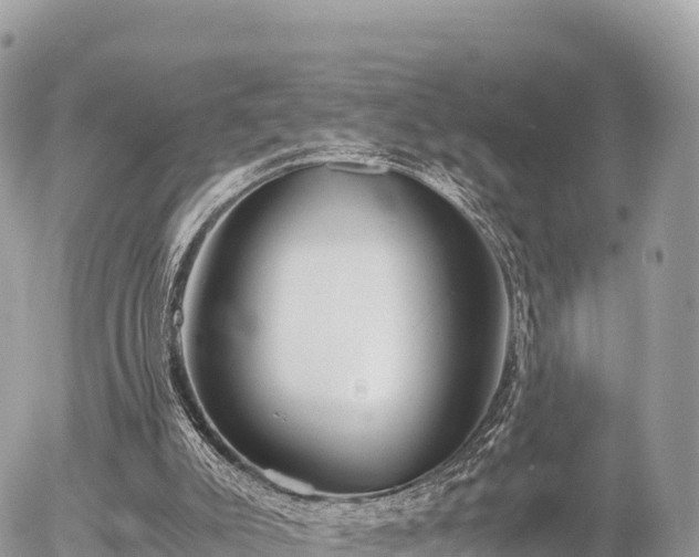 X0000056000007200508261801