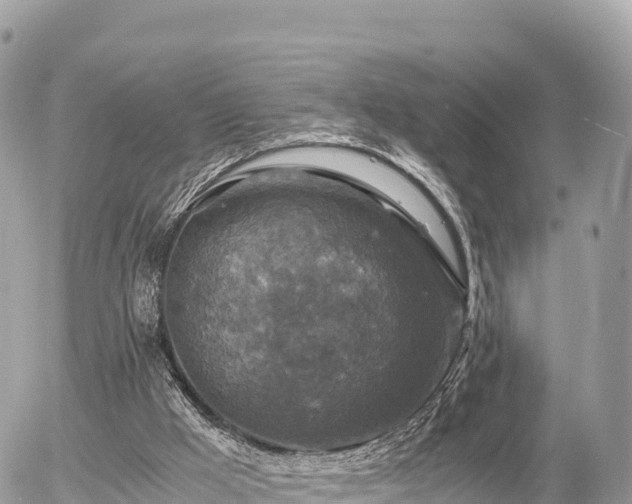 X0000056000009200508261801