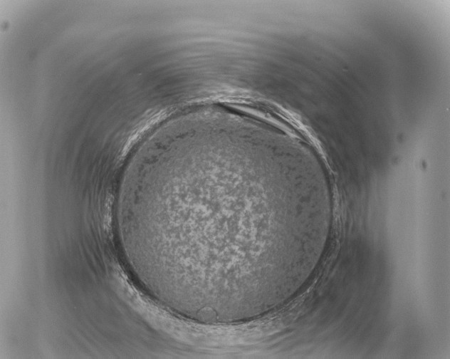 X0000056000010200508261801