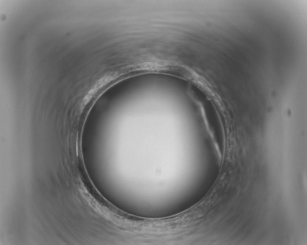 X0000056000011200508261801