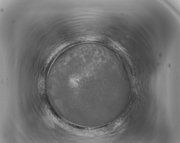 X0000056000012200508261801