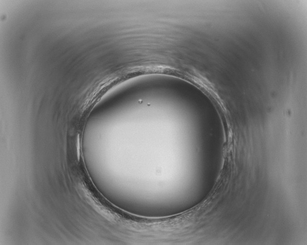 X0000056000013200508261801