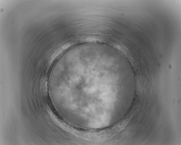 X0000056000016200508261801