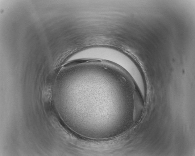 X0000056000017200508261801