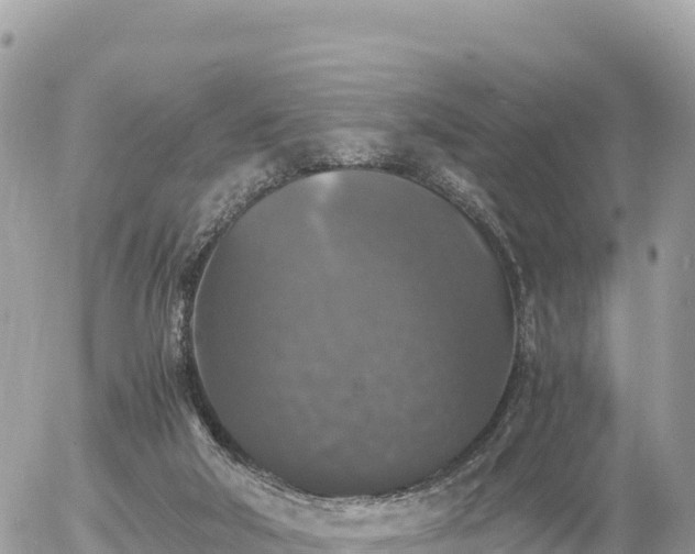 X0000056000018200508261801