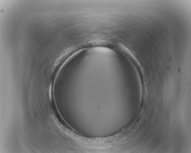 X0000056000019200508261801