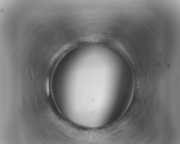 X0000056000020200508261801