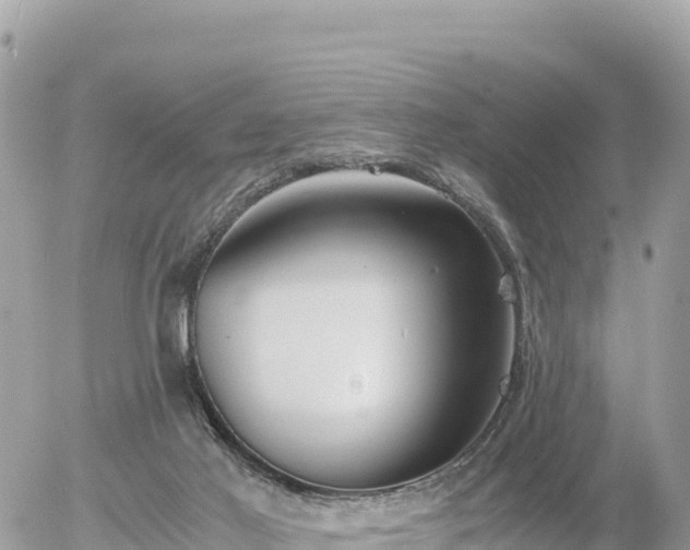 X0000056000021200508261801