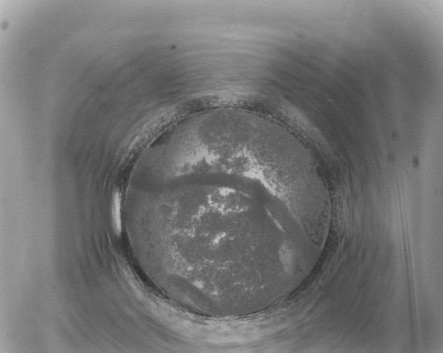 X0000056000022200508261801