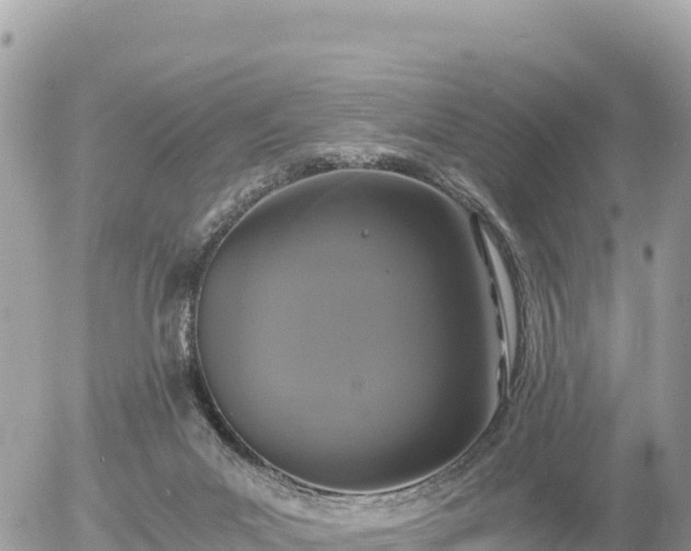 X0000056000023200508261801