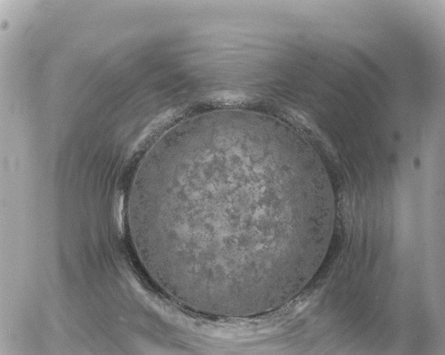 X0000056000024200508261801