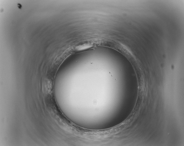 X0000056000025200508261801