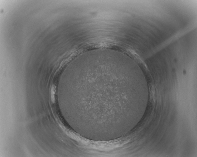 X0000056000026200508261801