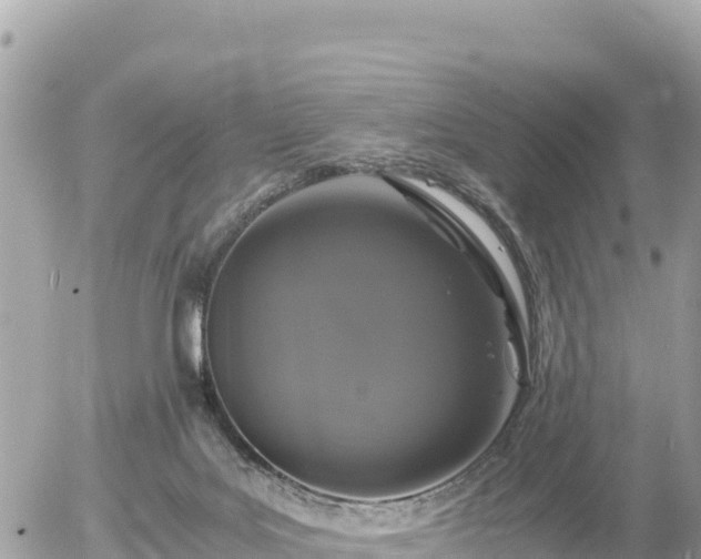 X0000056000027200508261801