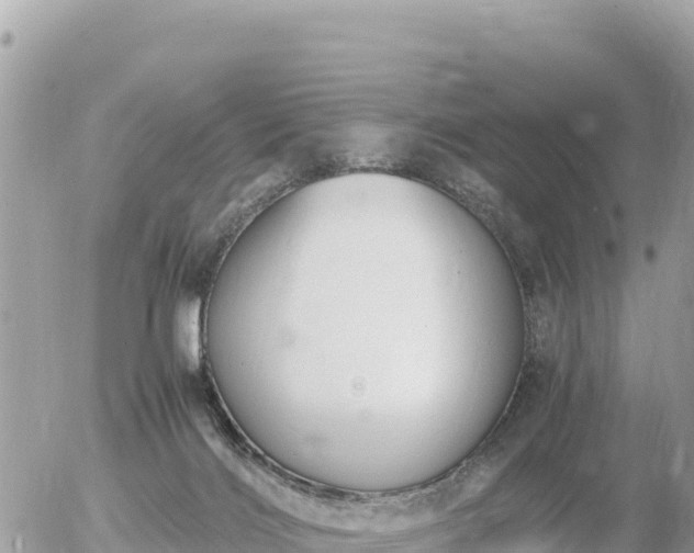 X0000056000028200508261801