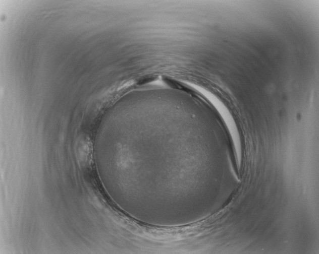 X0000056000029200508261801