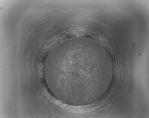 X0000056000030200508261801