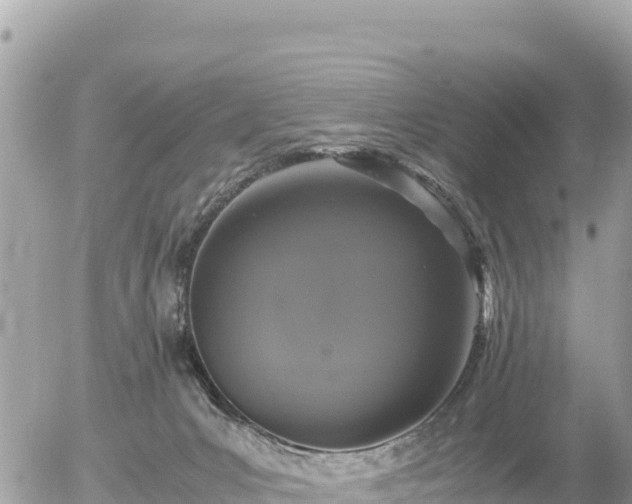 X0000056000031200508261801