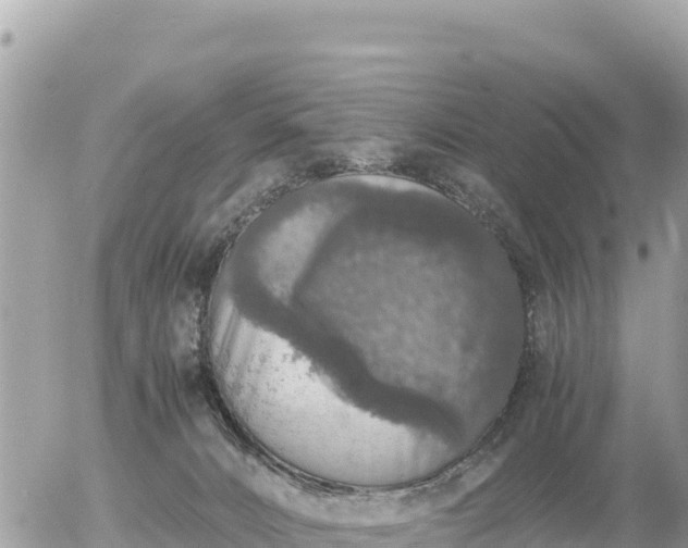 X0000056000032200508261801