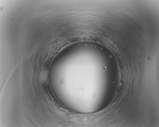 X0000056000033200508261801