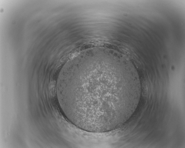 X0000056000034200508261801