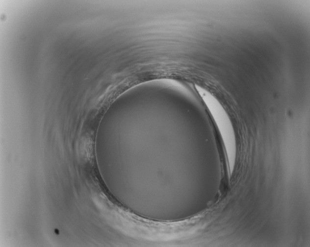 X0000056000035200508261801