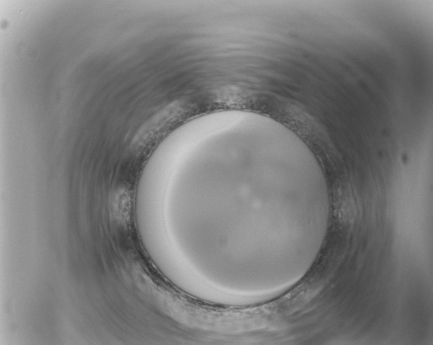 X0000056000036200508261801