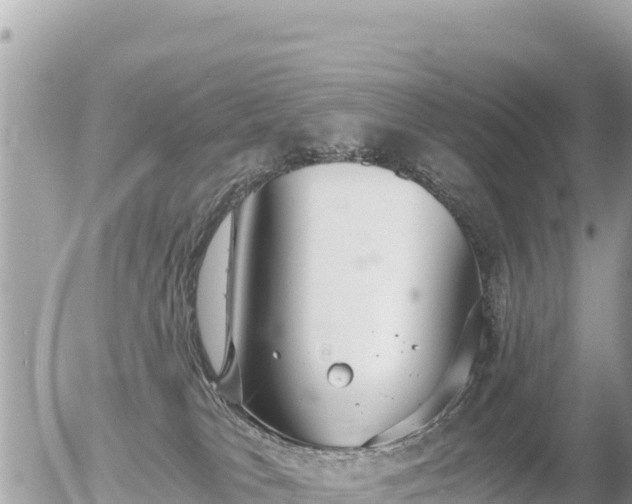 X0000056000037200508261801