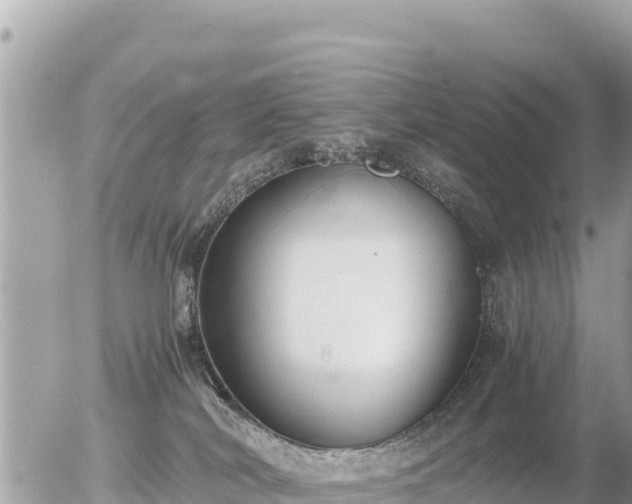 X0000056000038200508261801