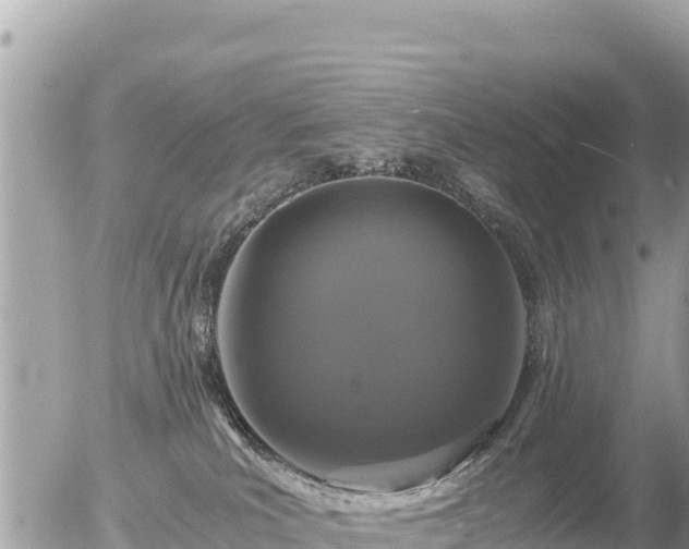 X0000056000039200508261801