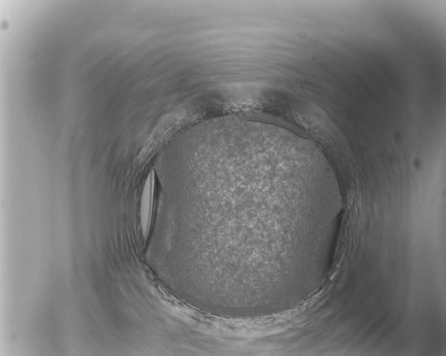 X0000056000041200508261801