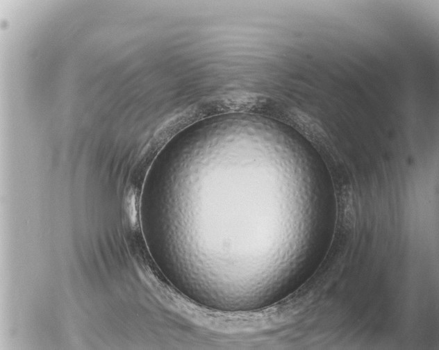 X0000056000042200508261801