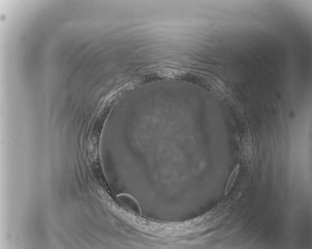 X0000056000043200508261801