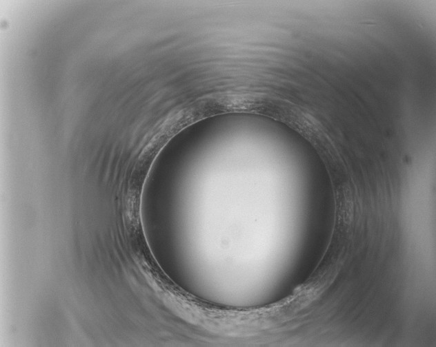 X0000056000044200508261801