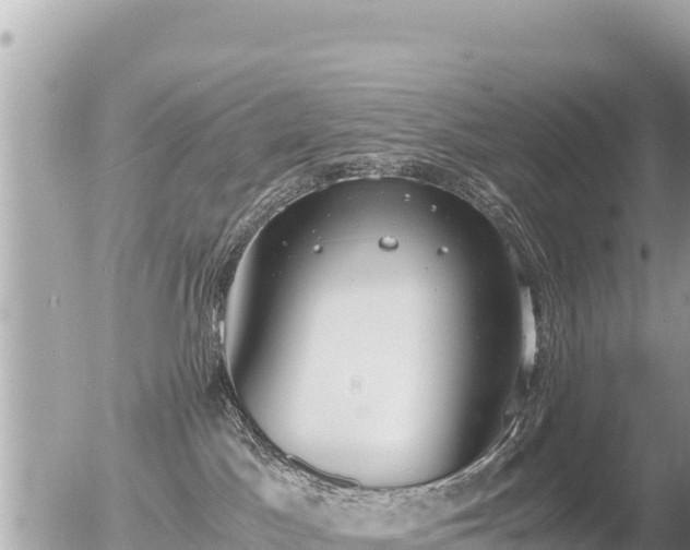 X0000056000045200508261801