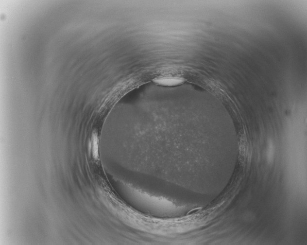 X0000056000046200508261801