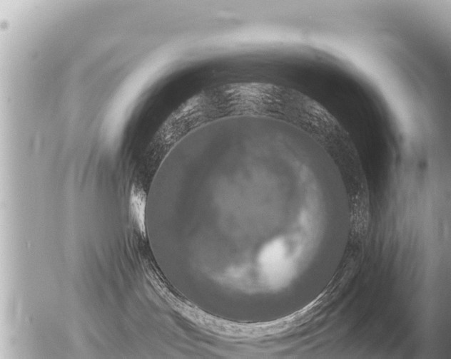 X0000056000047200508261801