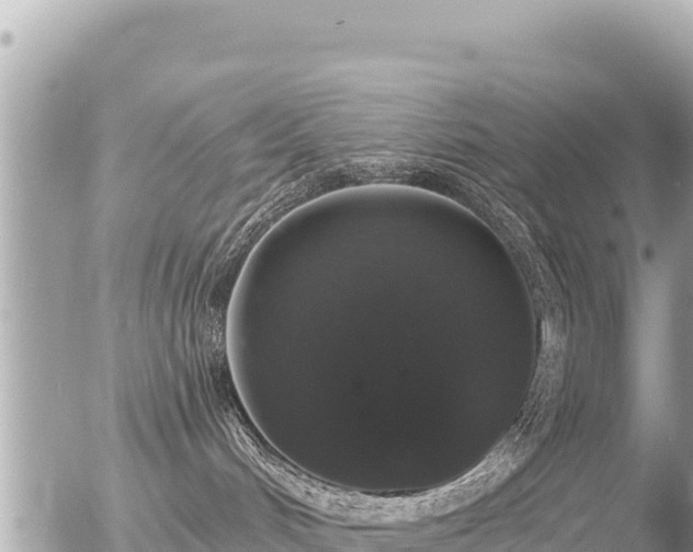 X0000056000048200508261801