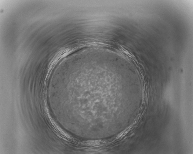 X0000056000049200508261800