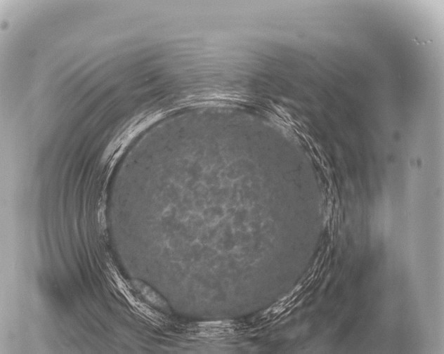 X0000056000050200508261800