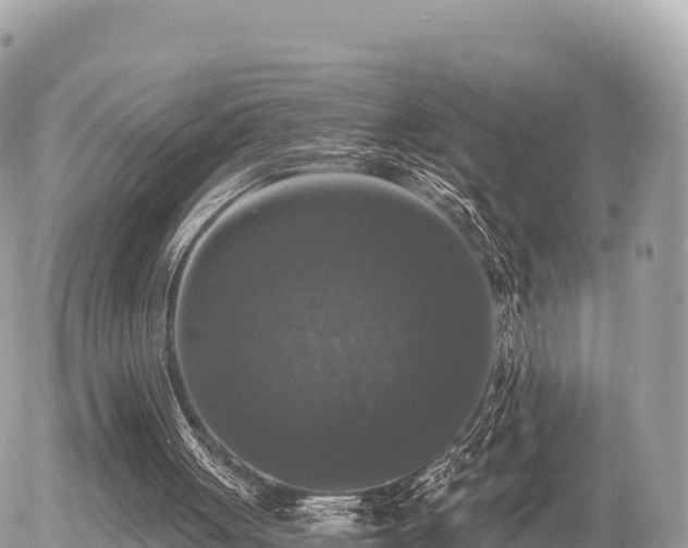 X0000056000051200508261800